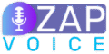 zapvoice.com